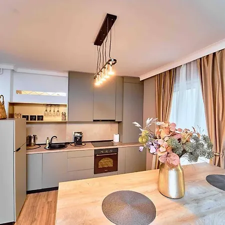 Luxury Vibes Near Iulius Mall *